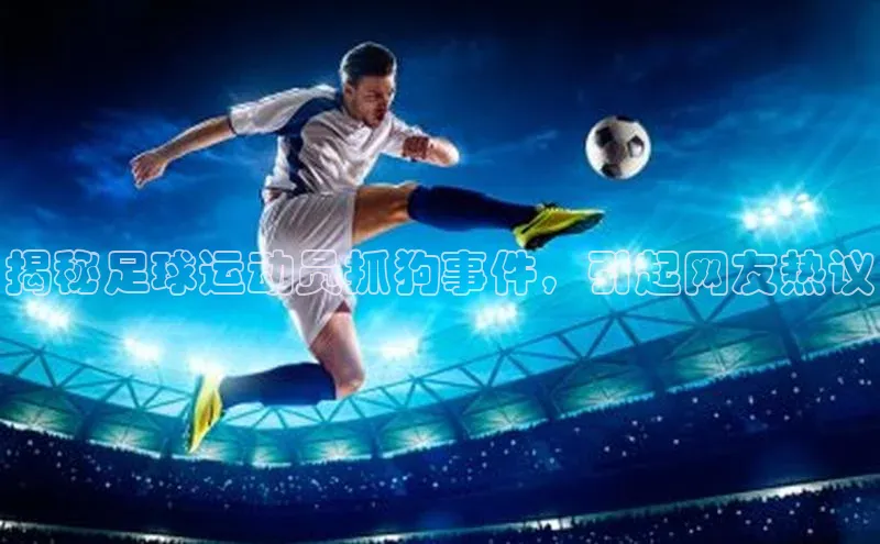 加拿大28圈数字规则轻美电器揭秘足球运动员抓狗事件，引起网友热议