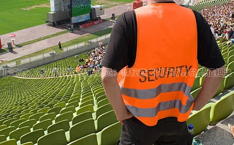 加拿大28圈数字规则轻美电器探索意大利最帅的足球运动员：揭秘意大利足球界的颜值担当