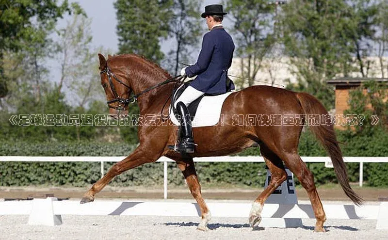 28圈电子游戏华策影视《足球运动员退役后的恢复方法大揭秘！如何快速重返巅峰状态？》