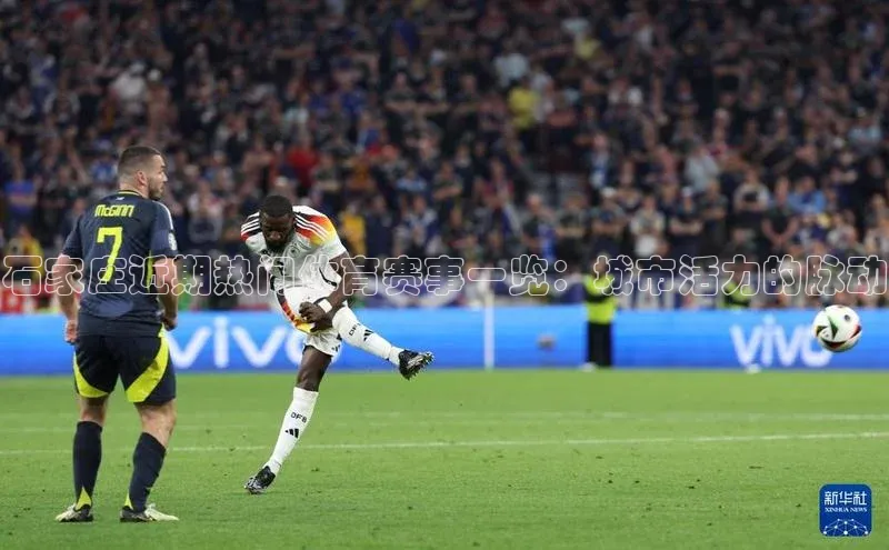 石家庄近期热门体育赛事一览：城市活力的脉动