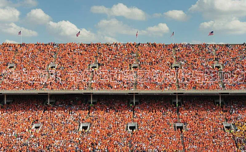 28圈注册网页版