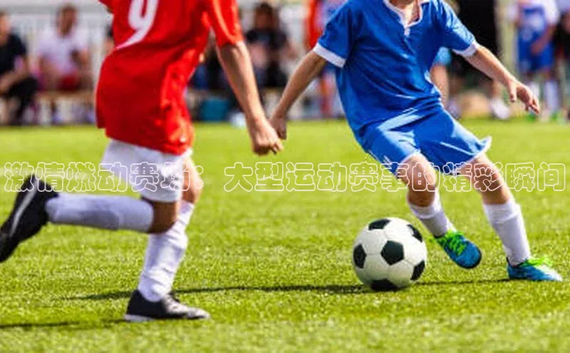 加拿大28圈最新版2023下载