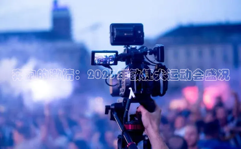 奔跑的激情：2023年敏捷犬运动会盛况