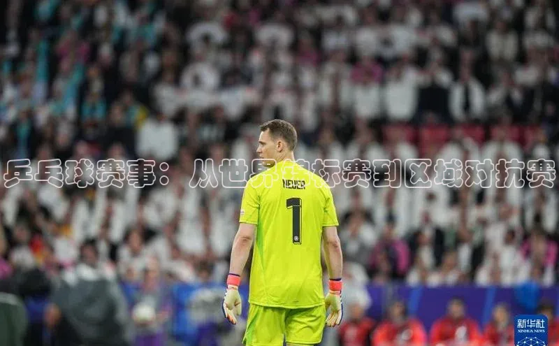 乒乓球赛事：从世界锦标赛到区域对抗赛