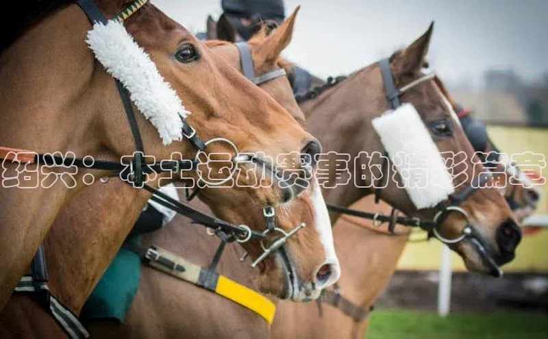 绍兴：本土运动赛事的精彩篇章