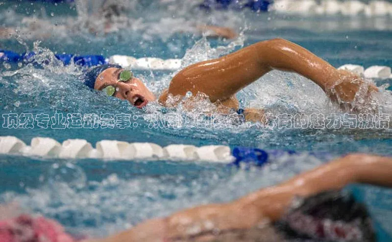 顶级专业运动赛事：从网球到赛车，体育的魅力与激情