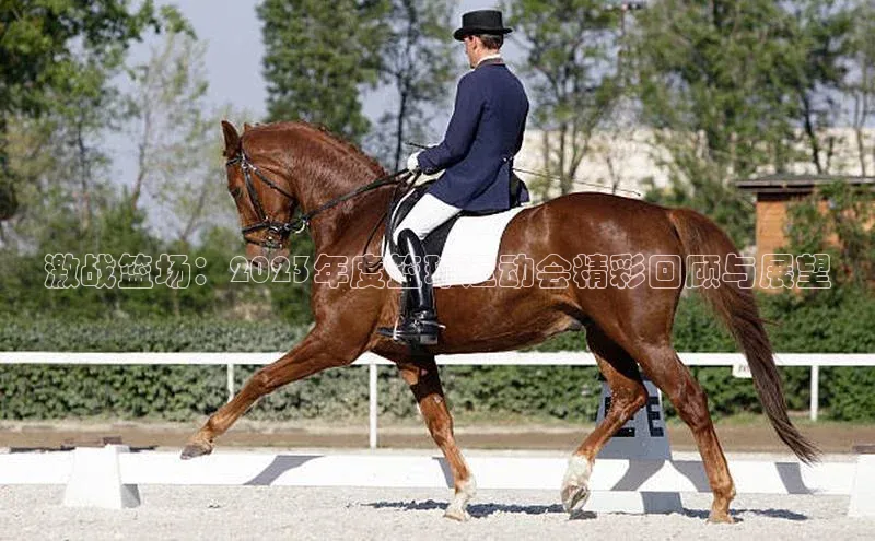 激战篮场：2023年度篮球运动会精彩回顾与展望